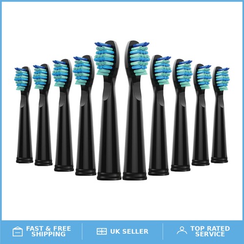 Toothbrush heads - toothbrush,