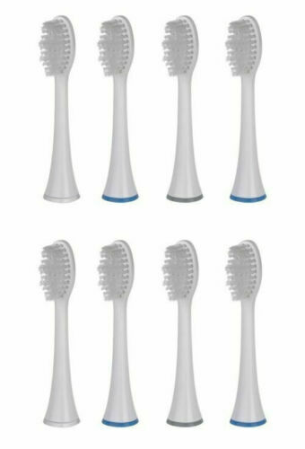 Replacement toothbrush - x,