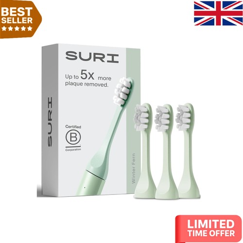 Long lasting plant - long-lasting, plant-based