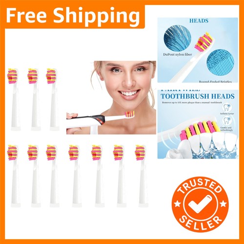 Replacement toothbrush heads - toothbrush,